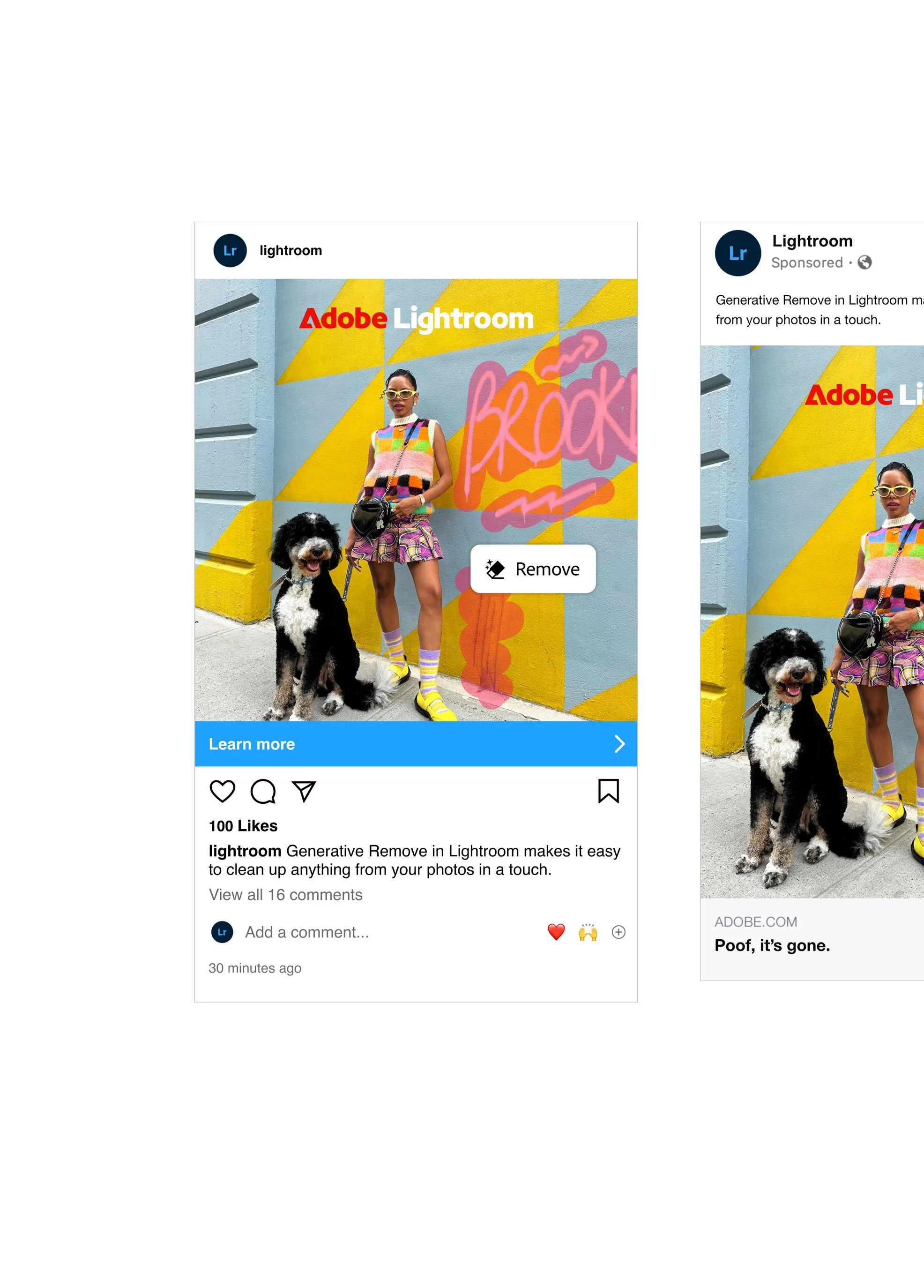 A woman and her dog standing against a colorful, graffiti wall. The woman is dressed in bright, multicolored clothing with sunglasses, and the dog is sitting beside her. The image appears to be a social media post Canva, with a caption discussing Adobe Lightroom's feature, 'Generative Remove.' The post includes likes, comments, and a ‘Learn more’ button.