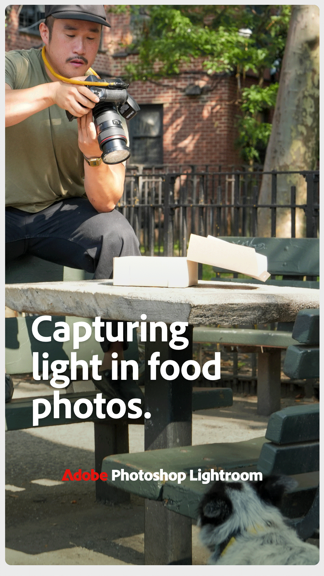A person photographing food on a park bench with a camera. A dog is sitting on the ground nearby, looking up at the food. Text overlay reads 'Capturing light in food photos' and 'Adobe Photoshop Lightroom.'